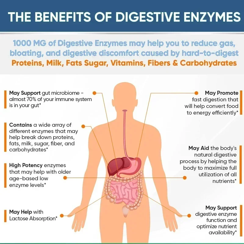 Digestive Enzymes with Prebiotic Probiotics - Promotes Healthy Gut Health and Promotes Digestive Function