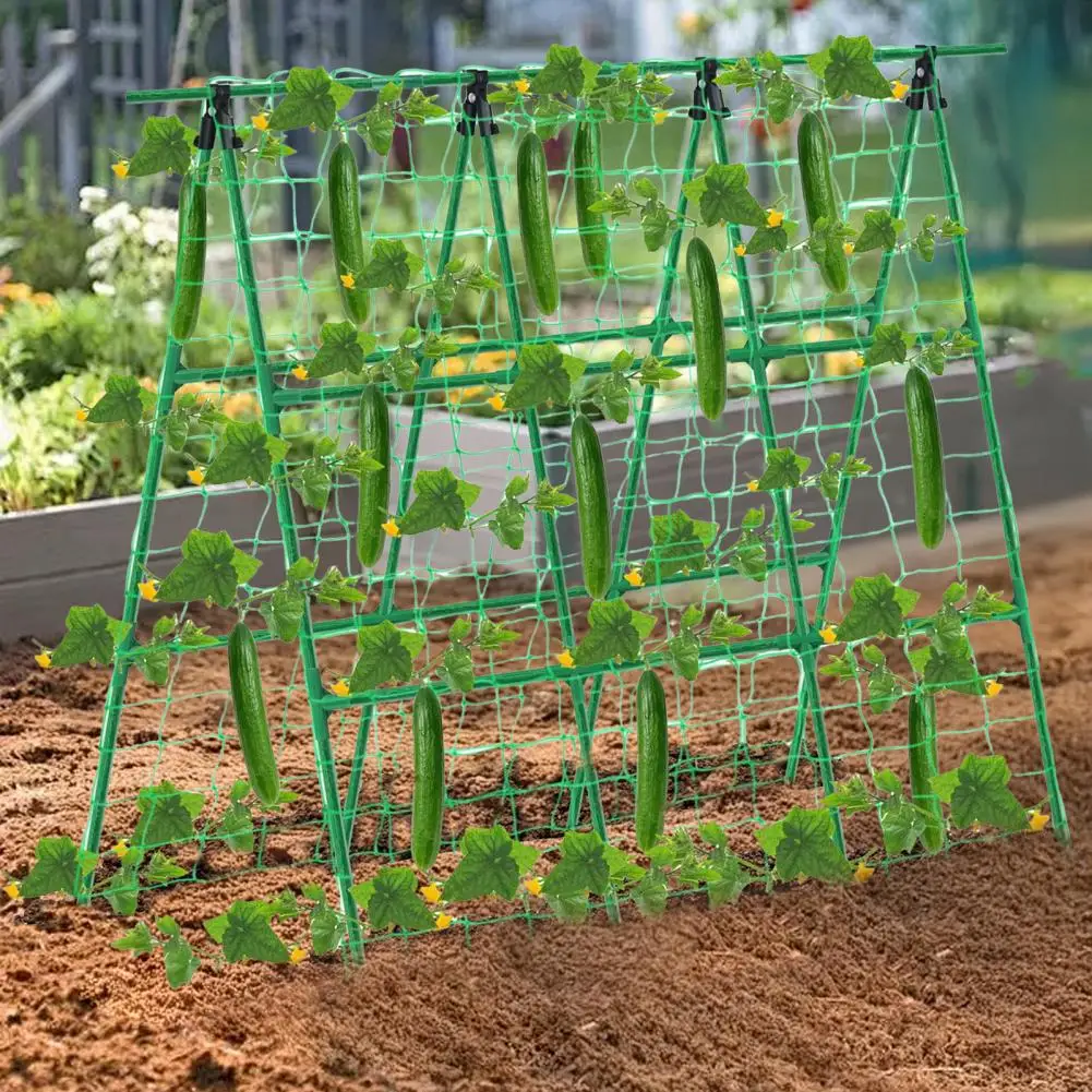 

Sturdy Metal A-frame Cucumber Trellis Set with Net Ties for Climbing Vegetables Tomatoes Grapes Gardening Support System