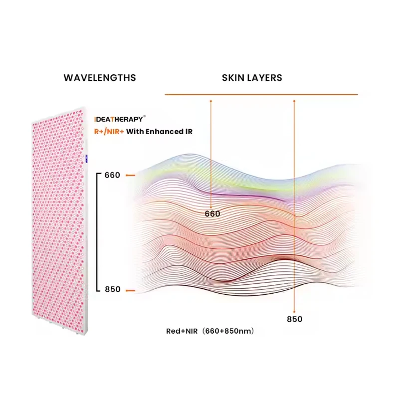 بالقرب من الأشعة تحت الحمراء العلاج بالضوء العناية بالضوء الكامل الجسم لتخفيف الآلام لوحة العلاج بالضوء الأحمر مصباح العلاج بالضوء الأحمر للمنزل أو التجاري