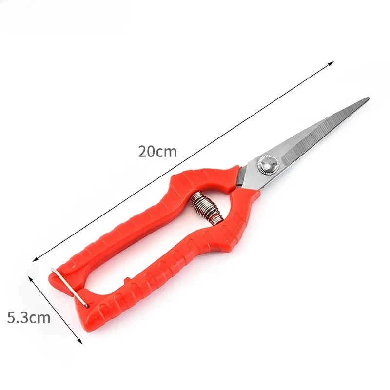 สวนเครื่องมือช่างสแตนเลสกรรไกรทําสวนกรรไกรตัดแต่งกิ่ง Pruner Secateurs
