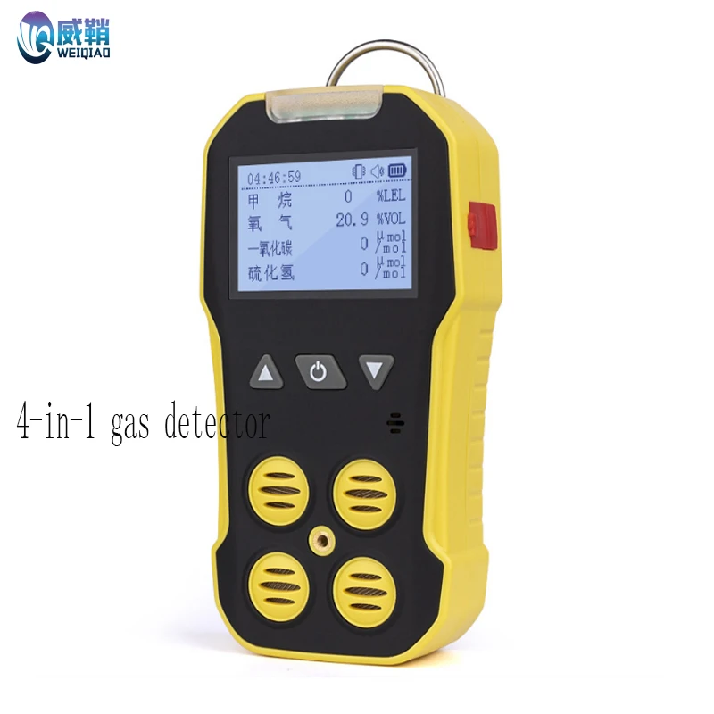 Multi-Gas Detector …