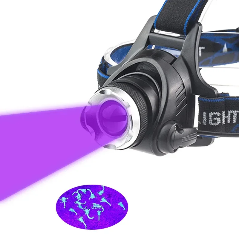 UV LED Purple Headlamp Rotating Zoom Headlight Torch Rechargeable Head Catching Scorption Torch Wholesale