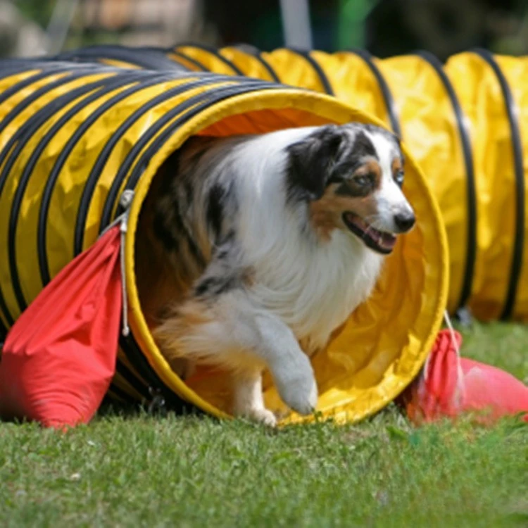 

Dog Agility Tunnel Large Dog Training Tube for Outdoor Exercise and Pet Obedience Activities