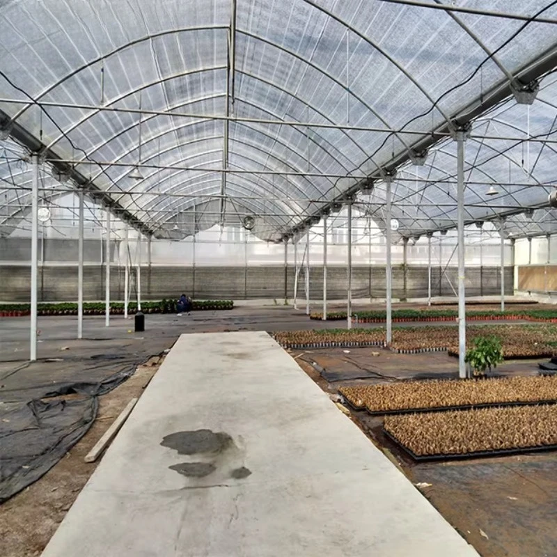 الدفيئات الزراعية نوع الزراعة المائية التجارية الدفيئة سعر البيت الأخضر