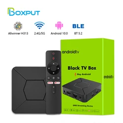 iATV Q5 Android TV Box Android 10.0 Allwinner H316 4K HDR Portable TVbox 2.4G/5G WIFI BT5.0 2G 8G 100M Smart Home Audio Video