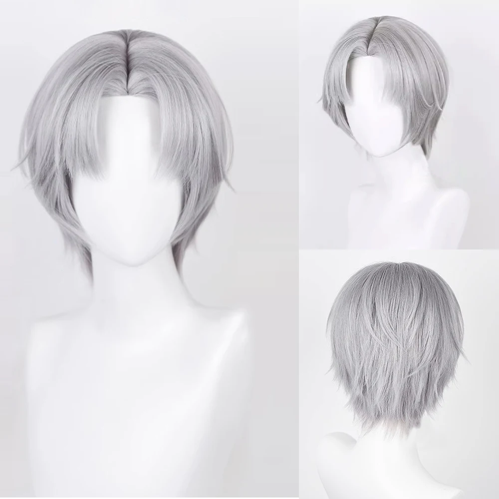 Short Straight Synthetic Men Grey Wig Middle Part Fluffy Anime Game Ash Heat Resistant Wig for Daily Party