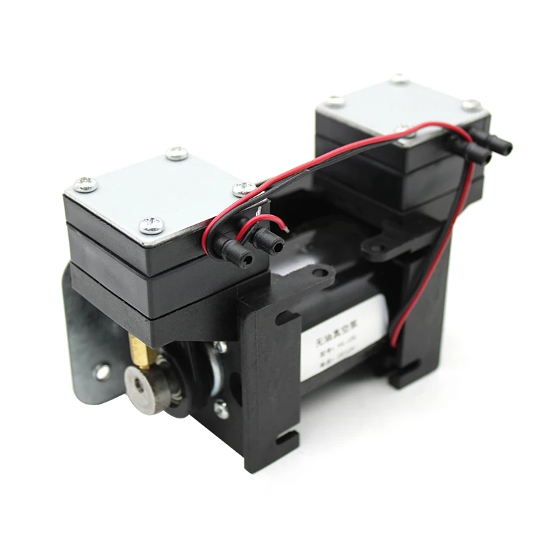 12V/220V High Positive Negative Pressure Vacuum Pump Large Beauty Instrument Mute Double Head Diaphragm Pump Micro Air Pump