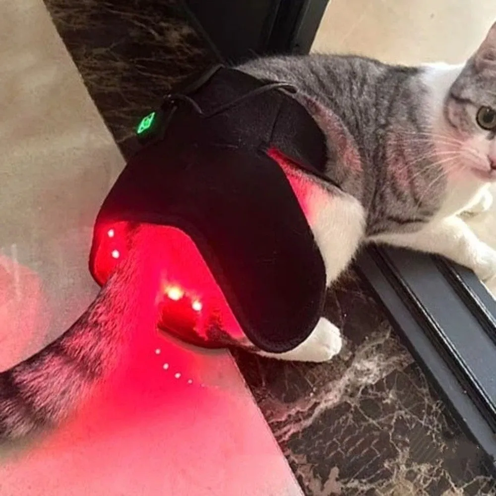 Automatic Timing Pet Red Light Recovery Device Promote Circulation LED Light Source Pet Rehabilitation Sleeve Relieve Discomfort