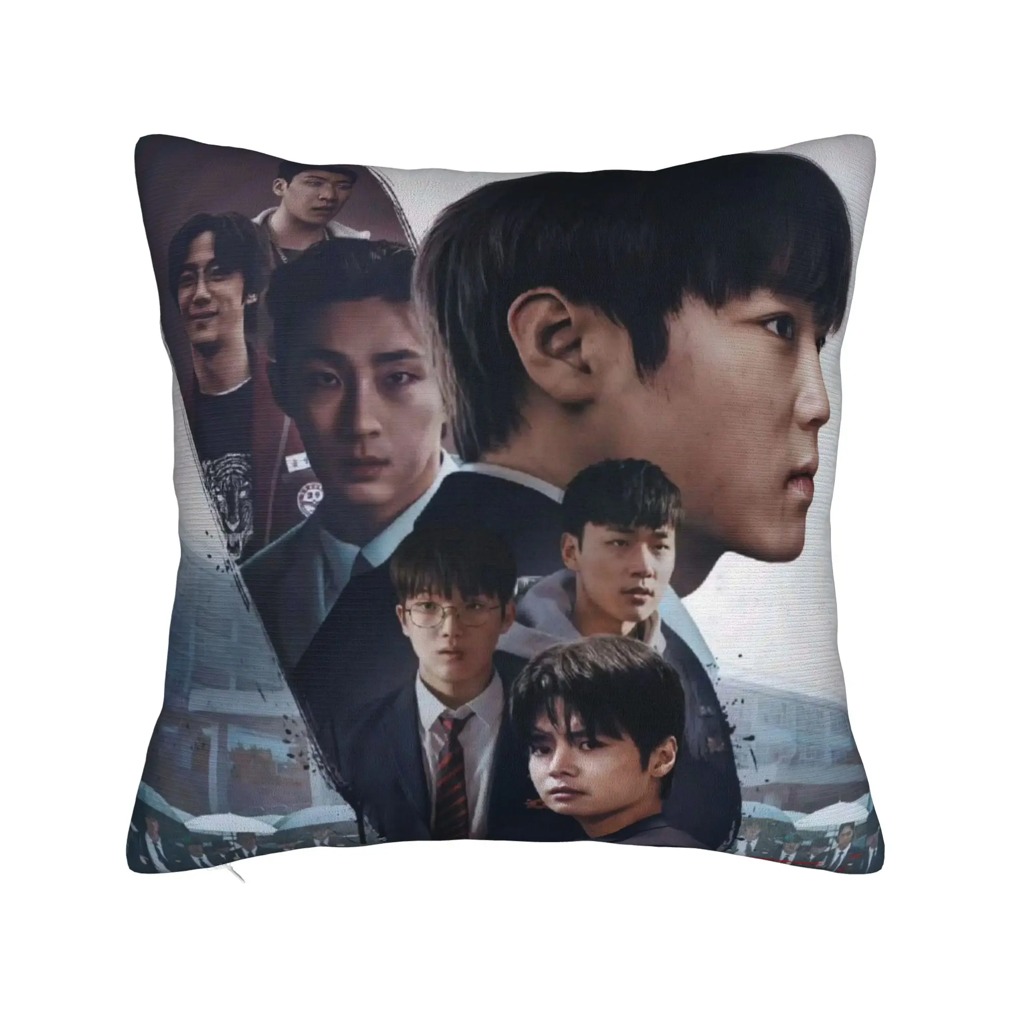 Hot Kdrama Weak Hero Class Pillow Cover  Funny Pillow Case For Living Room Bed Chair Square Pillowcases Gift