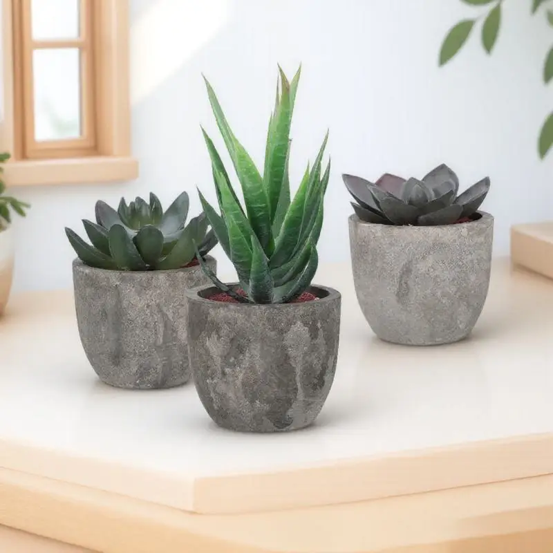 

3Pcs Decorative Artificial Succulent Plants Realistic Faux Succulents for Office Bedroom Living Room Shelf Countertop Plastic