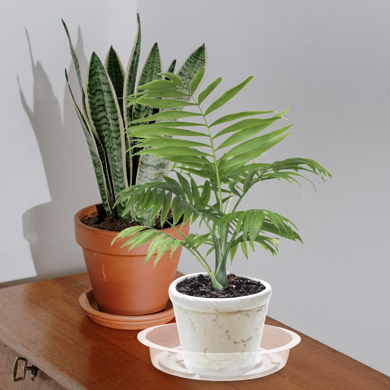 

10 Pcs Plant Trays Durable Flower Pot Saucers Round Shaped Water Drainage Carpet Protection Planter Drip Trays