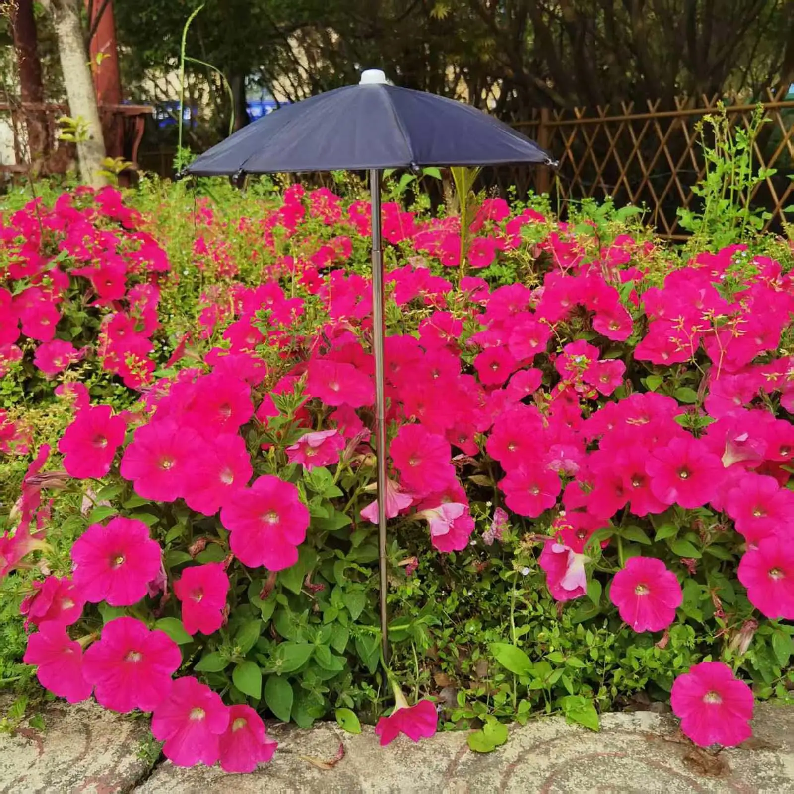 Garden Plant Umbrella Portable Adjustable Parasol Sun Shade Cover for Outdoor Flower Beds and Terrace
