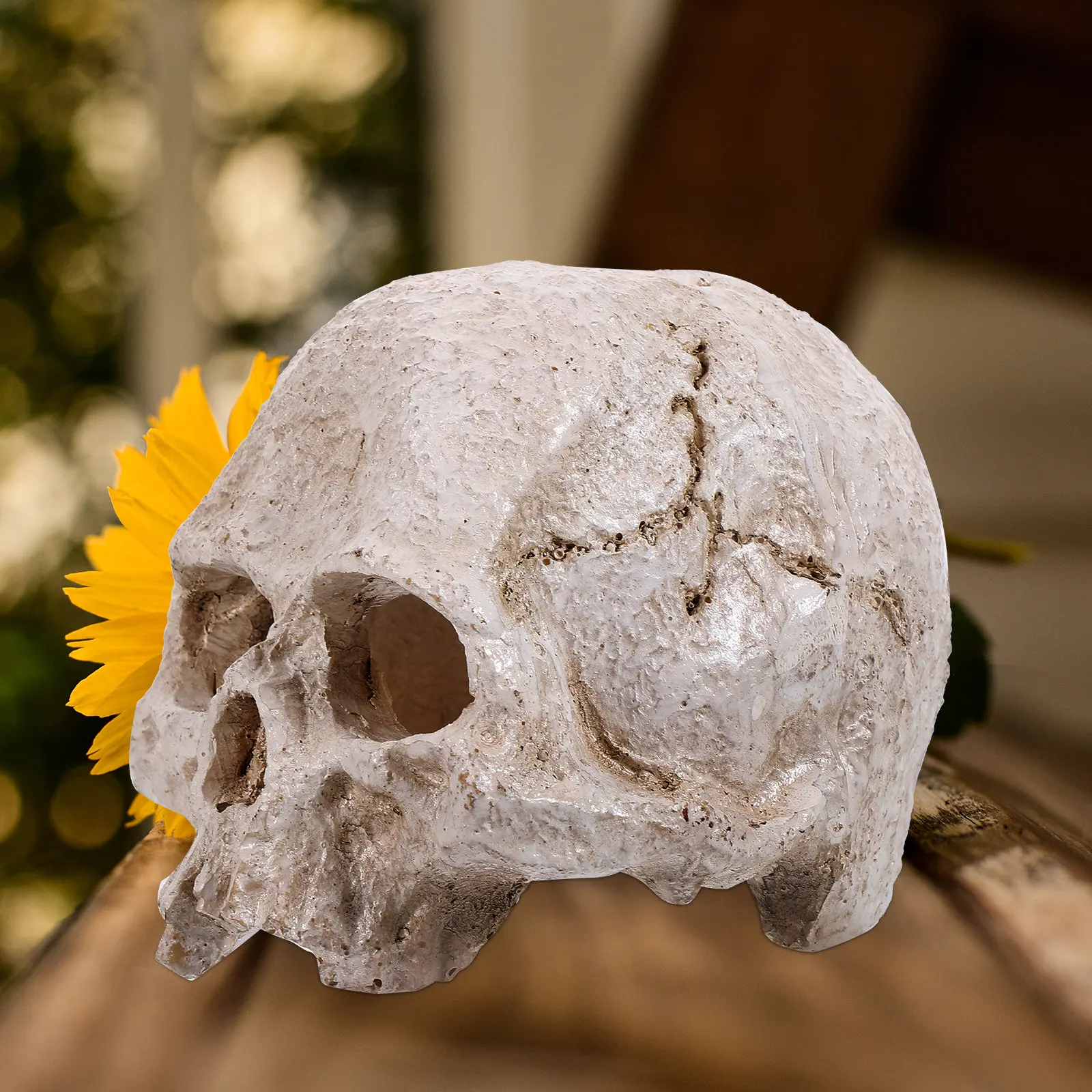 

Resin Human Skull High Simulation Detailed Head Halloween Decor Anatomy Teaching Tool Realistic Ornament Home Office
