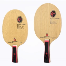 Friendship 729 Z-2 Table tennis racket