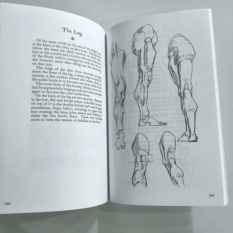 Constructive Anatomy  With Almost 500 Illustrations By George B. Bridgman Original English Book