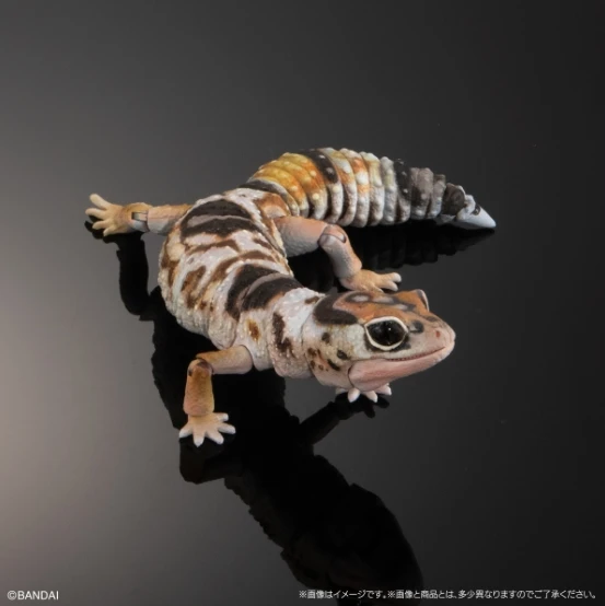 BANDAI Biological Encyclopedia Figures Model Thorny armored armadillo lizard  Gashapon Original toys