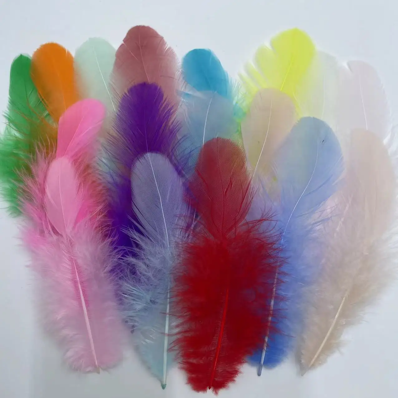 Natural Colored Gui…