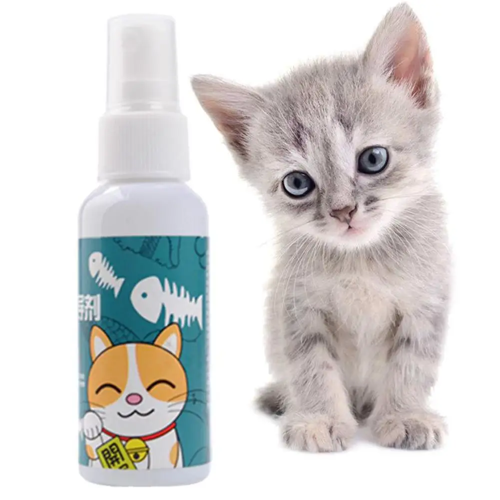 Tampon à Gratter pour Chat, Spray Naturel, Sain, Sûr, Effet à Long Terme, Inducteur, Menthe, Jouet d'Entraînement pour Animaux de Compagnie, 50ml