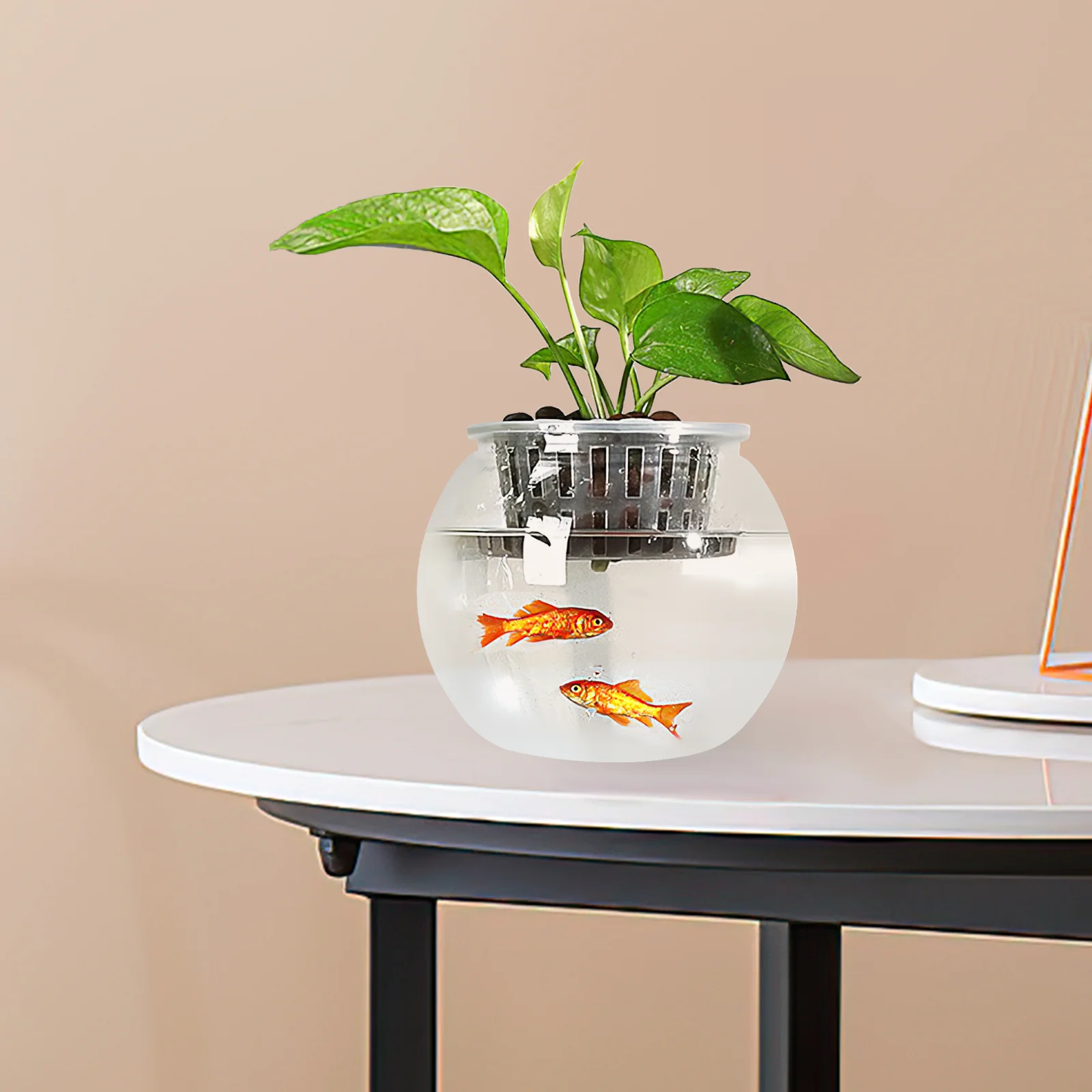 Phalaenopsis Round Transparent Fish Tank Office Aquarium 2200X1800X1600CM The Pet Goldfish