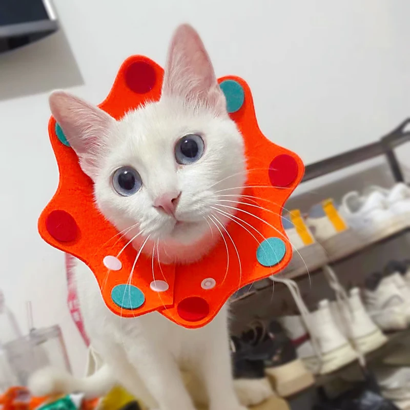 Circle and Cat Post-Sterilization Supplies Cat Head Cover Anti-Licking Shame Item Circle and Cat Cat Collar Circle and Cat