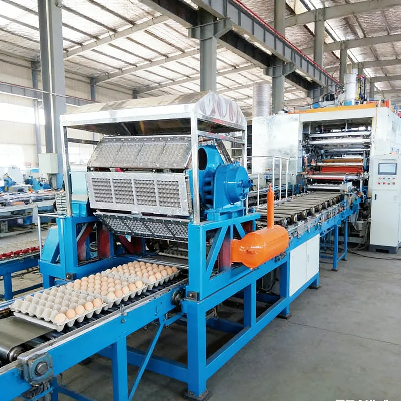 Máquina Personalizada para Fabricar Bandejas de Huevos, Equipo de Moldeo de Pulpa de Papel, Máquina para Fabricar Cartones de Huevos con Bajo Consumo de Energía