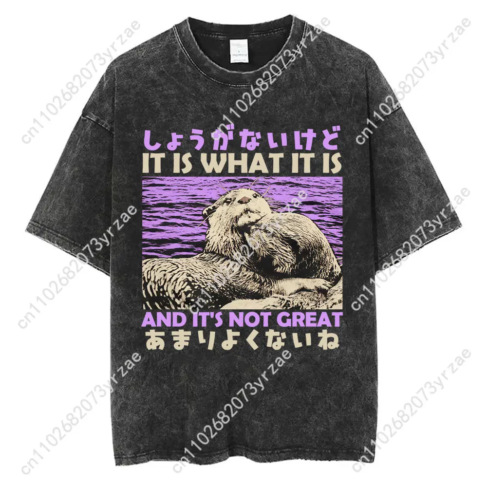 Capybara Retro Wash Tshirt Man Woman High Quality Vintage T Shirt Cotton Short Sleeves Fashion T-shirt Soft Breathable Tops