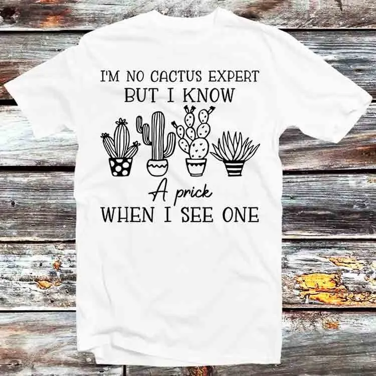 I'M No Cactus Expert But I Know A Prick When See One T Shirt Vintage Retro Cartoon Anime Top B1159