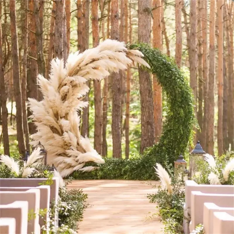 

Fluffy Natural Pampas Grass for Garden Decoration, Large Dried Flower, Wedding Arrangement Decoration, Arch Flores