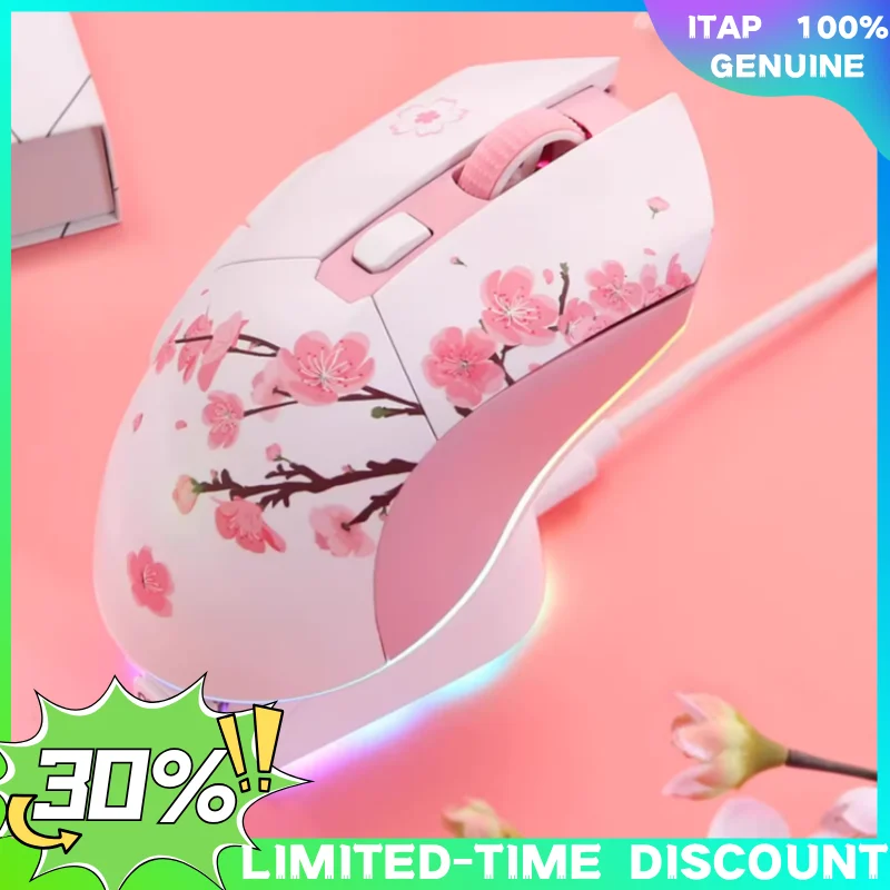 

DAREU Dual Modes Gamer Mouse RGB 2.4G Wireless Wired Gaming Mice Built-in 930mAh Recharging Battery with Macro Set for PC Laptop