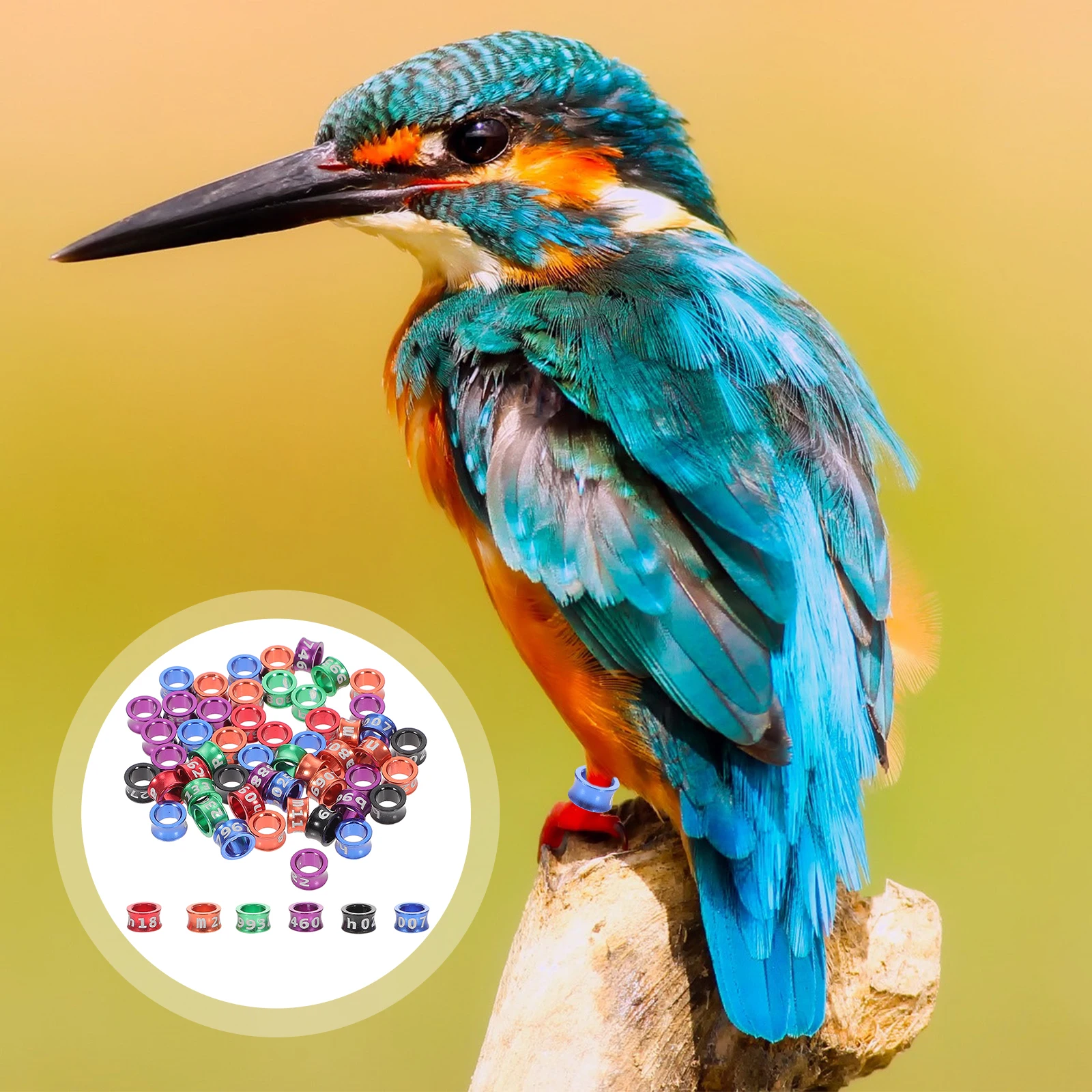 

50Pcs Smooth Surface Bird Leg Bands Number Pigeon Rings Lightweight Parrot Foot Rings Homing Pigeon Accessories