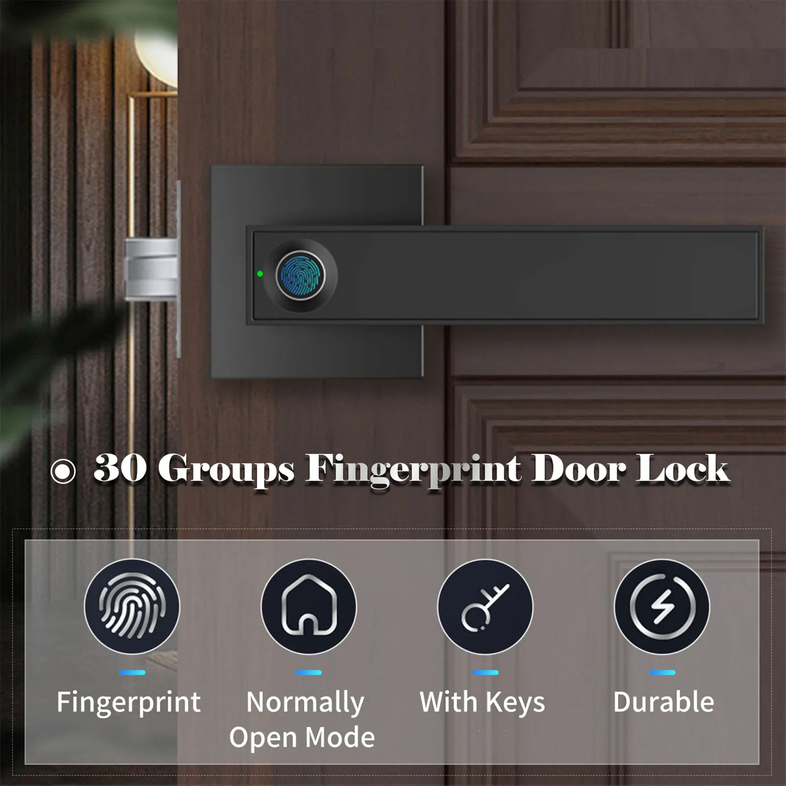 30 Groups Fingerprint Door Lock Smart Door Knob Gate Locks Left Right Open Door Lever Lock Set for Home Interior Door Bedroom