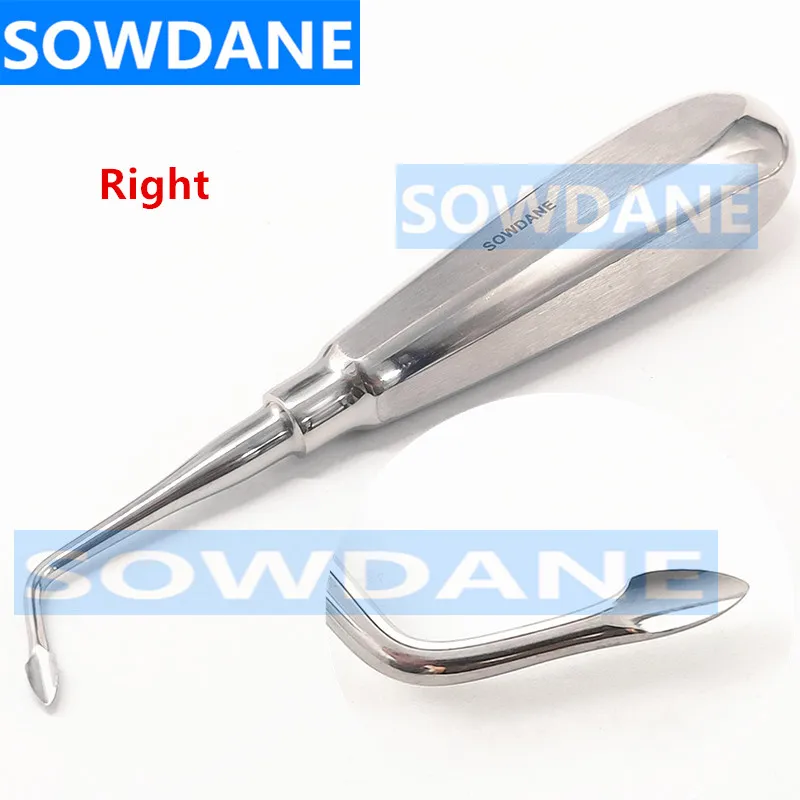 1 piece Dental Extraction Minimally Invasive Spade tip Elevator Dental Elevator Oral Tooth Loosening Root Extraction Tool