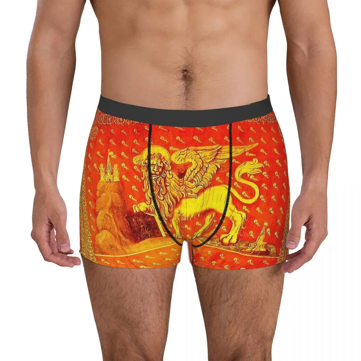 VENICE Of Republic Of Venice National Flag Underpants Cotton Panties Men's Underwear Print Shorts Boxer Briefs