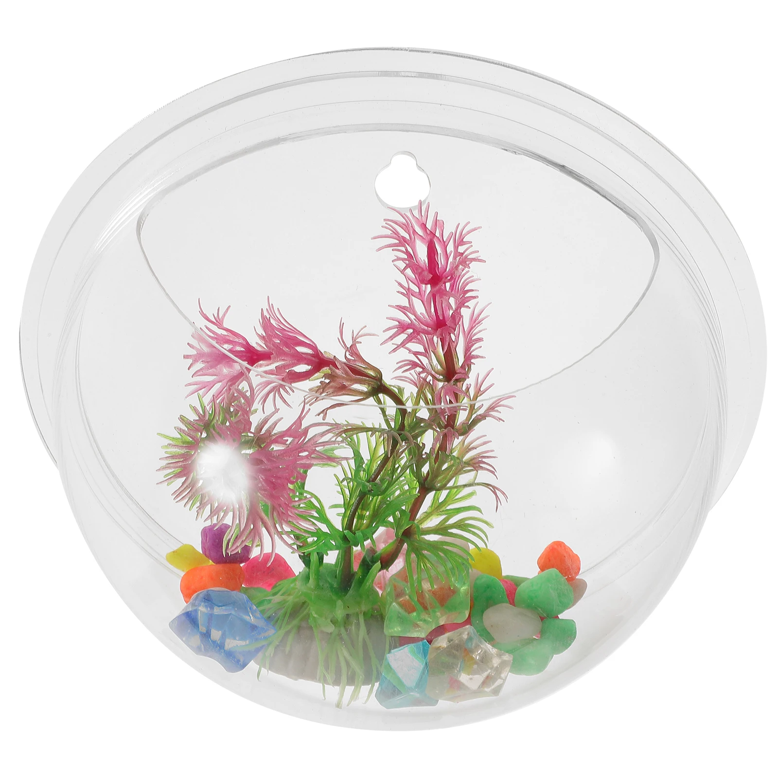 

WallMounted Acrylic Vase 15cm Diameter Transparent Fish Tank Decorative Planter Home Party GiftsVintage Centerpieces