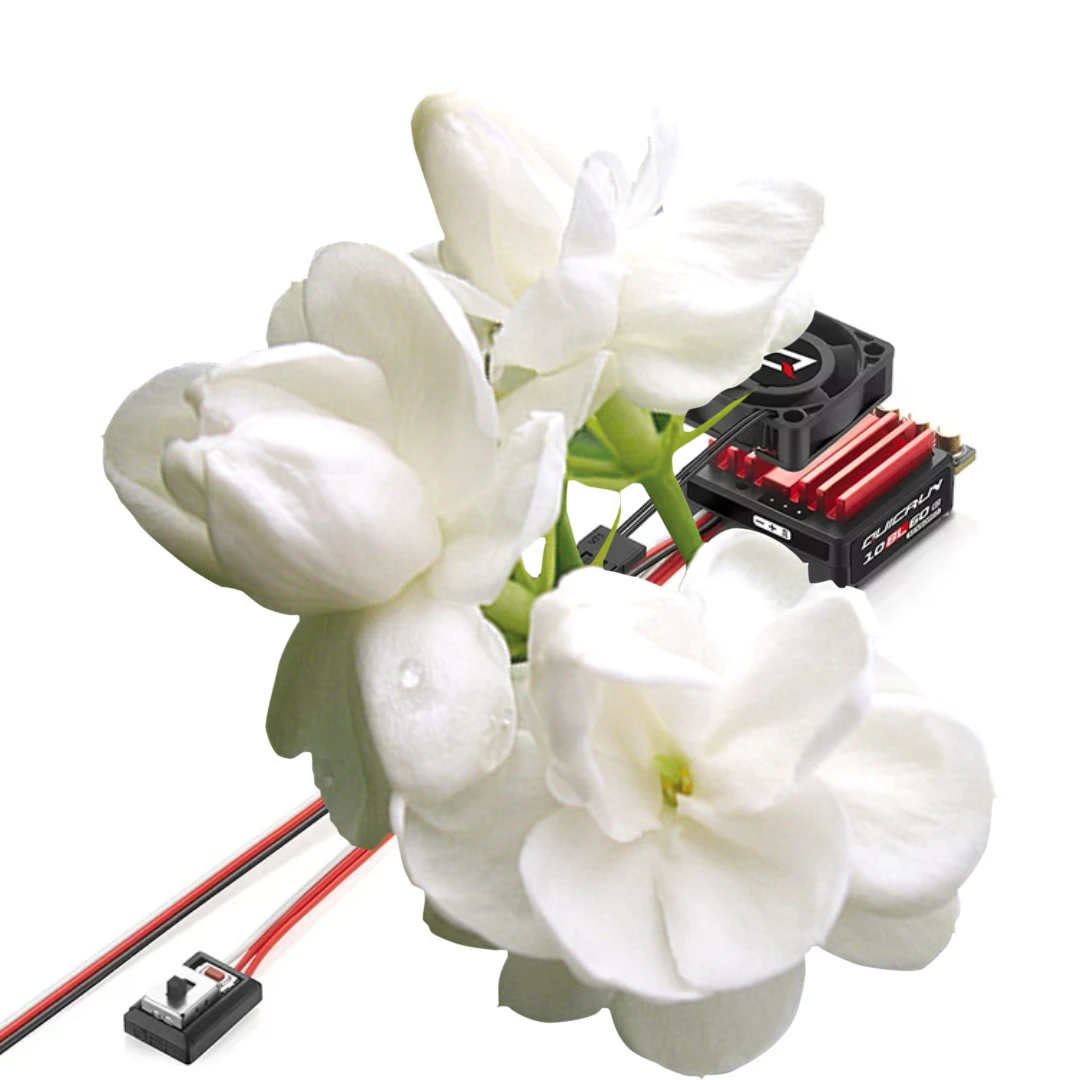 NEW Hobbywing QuicRun 3650SD G2 Induction Brushless Motor and QUICRUN 10BL60-SENSORED G2 for 1/10 RC Remote Control Racing Car