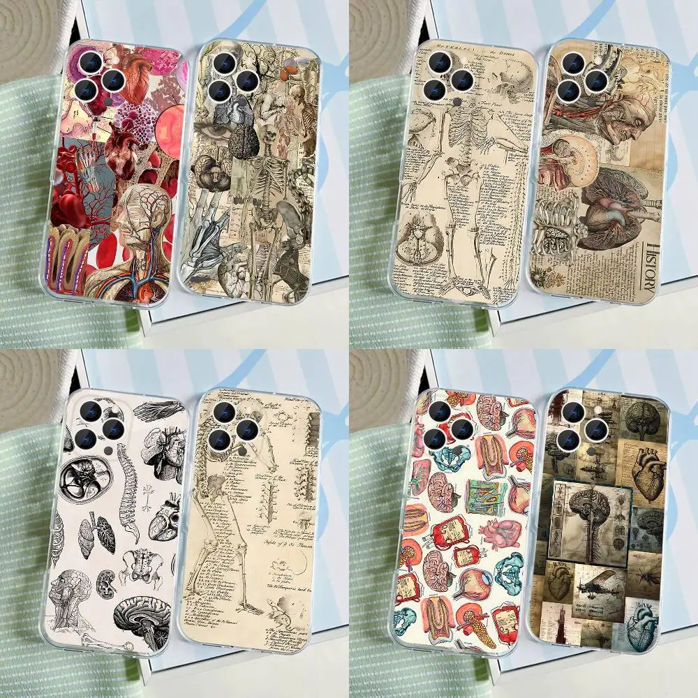 

Medical Human A-Anatomy Phone Case For iPhone 17,16,15,14,13,12,11 Pro,Max,Plus,X,XS,XR,SE4,E Mini Transparent Soft Cover