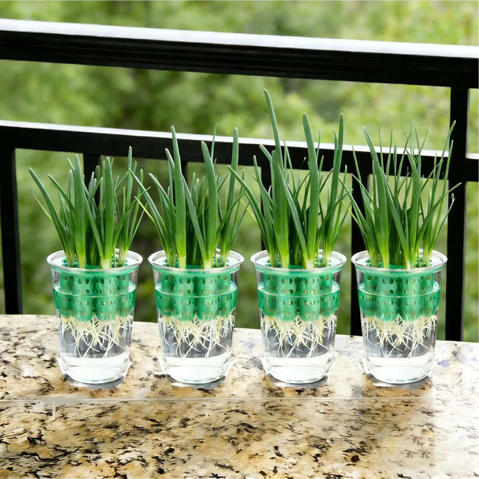 Green Onion Planter Clear Reusable Hydroponic Scallion Grower Green Onion Seedling Sprouting Kit for Windowsill Garden Home