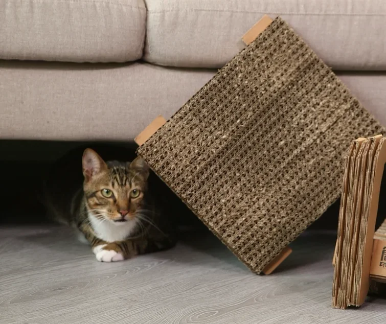 Comfortable corrugated cat scraper