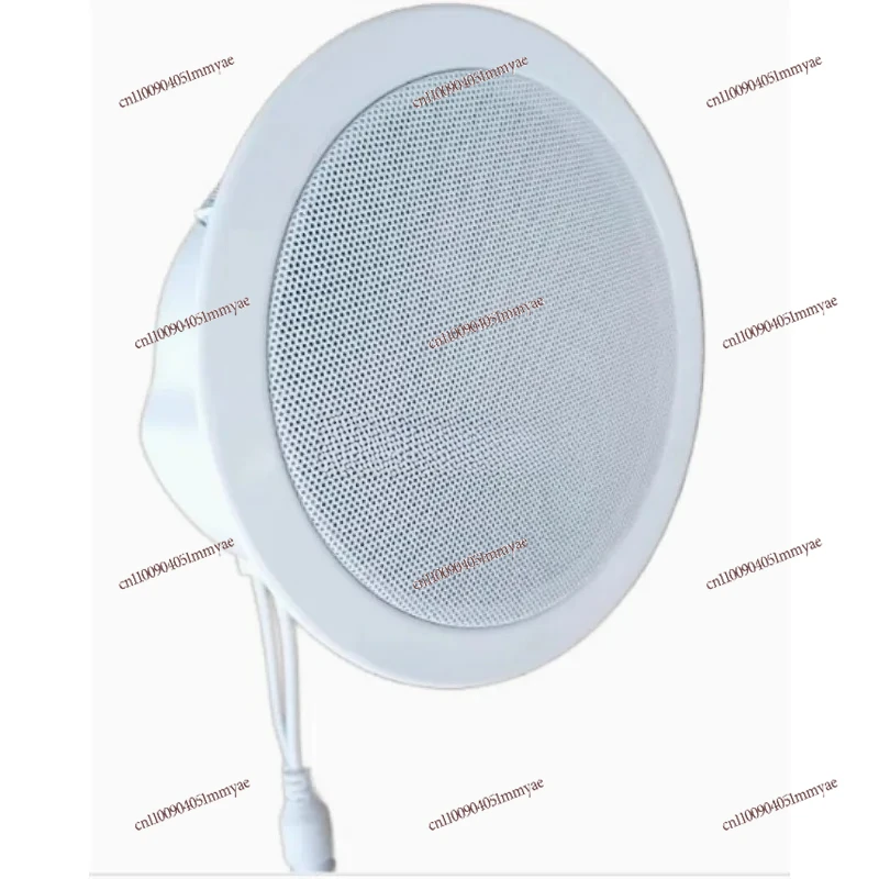 

Bestseller IP network speaker, ceiling audio, hotel milk tea shop, store background music, dust-proof 20w30w