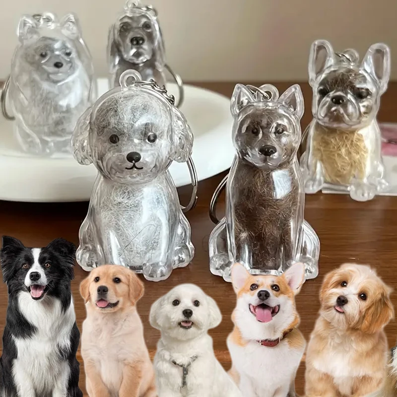 Dog Hair Storage Box Puppy Hair Memorial Keepsake Capsule Pet's Dog/Cat Fur Container Transparent Capsule Keychain Souvenirs