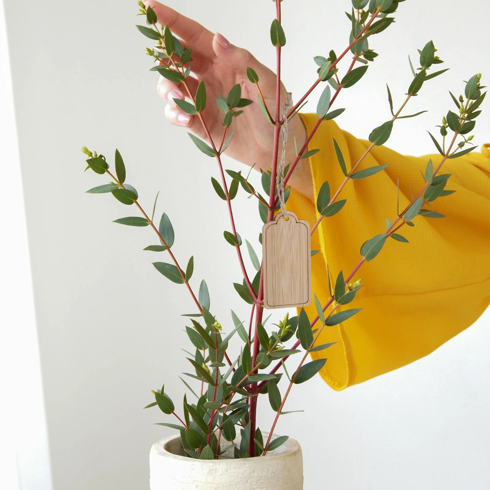 

10Pcs Unfinished Wood Hanging Tags for Garden Plants Rectangle Plant Labels with Rope for Outdoor Vegetables Herbs Flowers