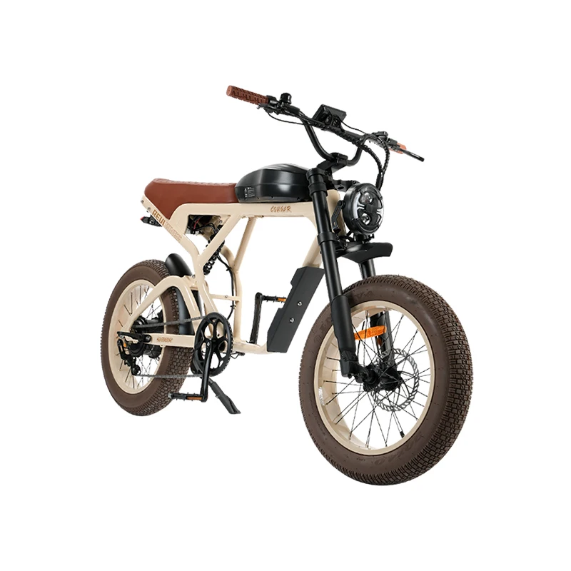 

STLF Chinese factory supply vintage e bike 20inch fat tire electric bicycle 1200w strong power motor electric bike mountain ebik