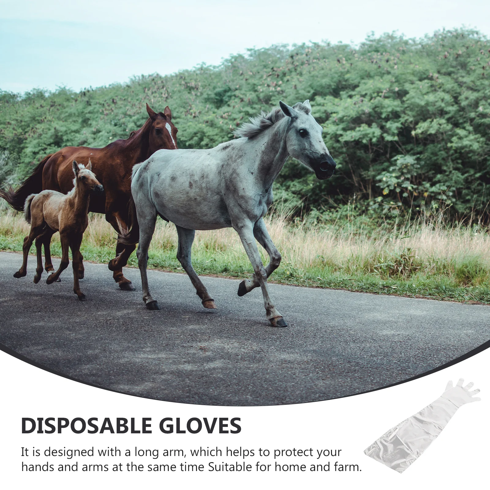 

50Pcs Veterinary Midwife Gloves Disposable Long Arm Five Finger Livestock Delivery Protection Gloves for Pigs Cattle Sheep