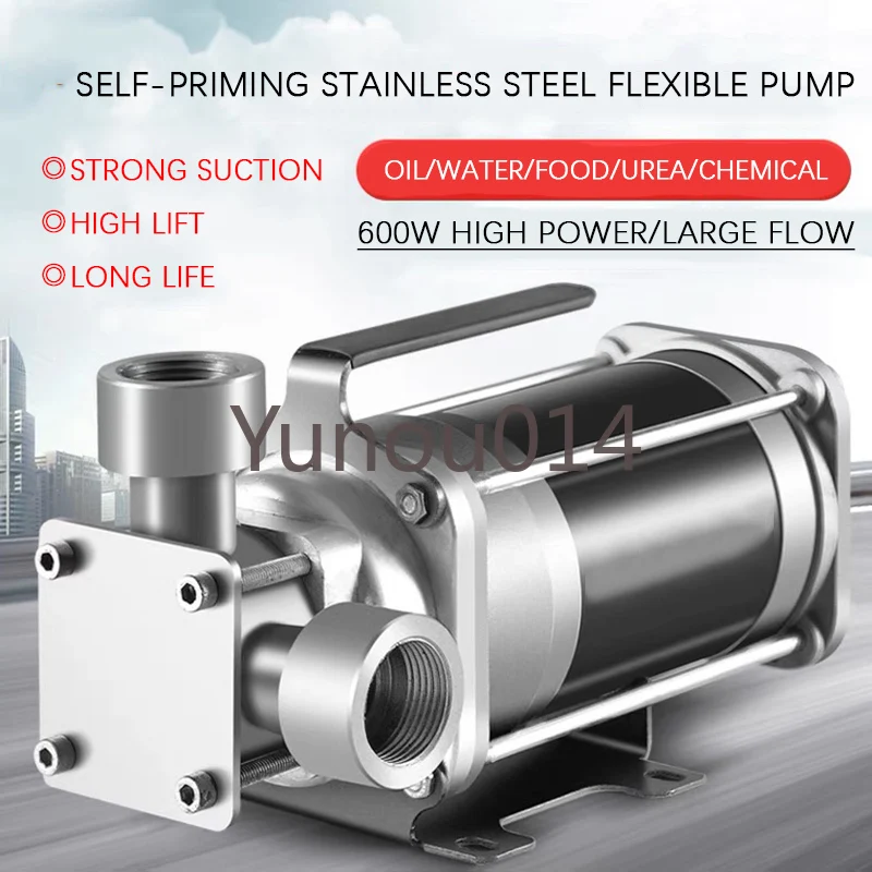 Self-Priming Stainless Steel Electric Oil Pump, Chemical, Diesel, Urea, Food, Honey Glue Lift, Flexible, 12V, 24V, 220V