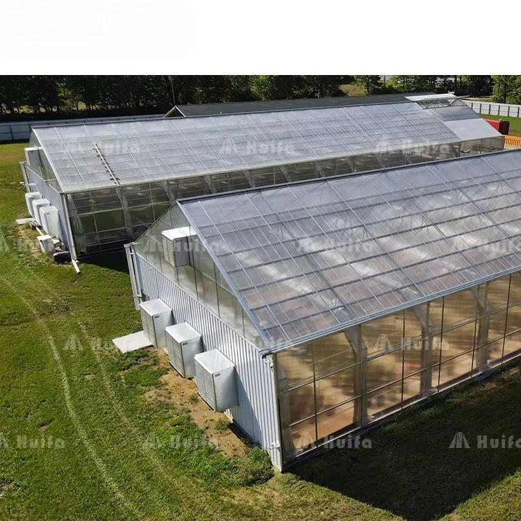 Serre agricole à obscurcissement total 100% entièrement automatique pour la culture de plantes agricoles et médicinales