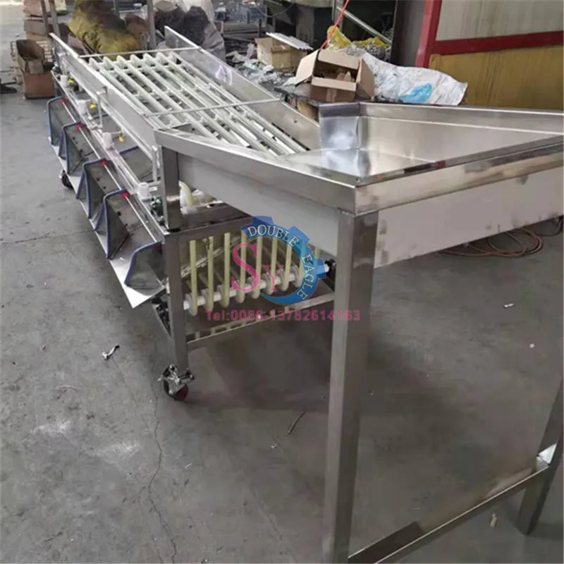 Máquina clasificadora profesional de alto rendimiento, 5 niveles, naranja, frutas y verduras, cereza, tomate, nuez, patata pequeña, cítricos