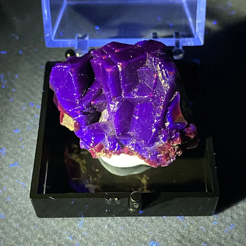 100 % natürlicher schwarzer Fluorit Pakistan (fluoreszierendes Rot und Lila), Mineralprobe,