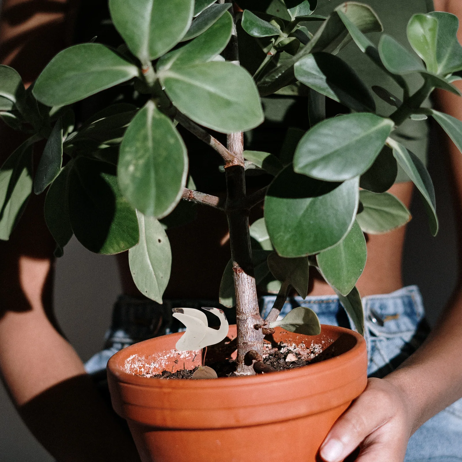 

3Pcs Mini Garden Bonsai Ceramic Craft Ornament for Micro Landscape Fairy Garden Decoration Succulent Pot Accessories