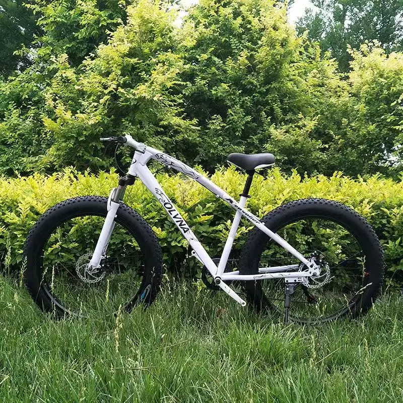 

Mountain Bike 20",24",26" Off-road Wide Tires Men's Variable Speed Women's Adult Bicycle Wholesale