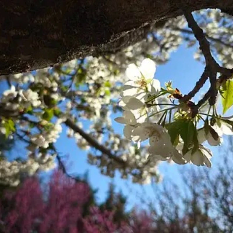 

Имитационный навигационный фонарь 2-3S, напряжение 3 В, светодиод, шесть режимов для радиоуправляемых самолетов с неподвижным крылом, канала, как настоящая машина